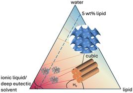 Graphical abstract: Phytantriol and monoolein in aqueous deep eutectic solvent and protic ionic liquid solutions