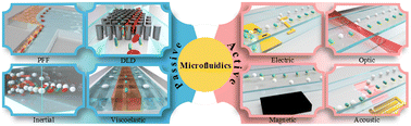 Graphical abstract: Microfluidic shape-based separation for cells and particles: recent progress and future perspective