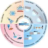 Graphical abstract: Directional manipulation of bubble behavior on wettability gradient surfaces: mechanisms, strategies, and applications