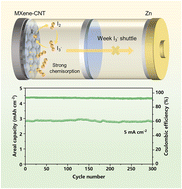 Graphical abstract: Complementary chemical adsorption of iodine species on MXene/carboxylated CNTs for high loading zinc–iodine batteries