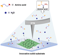 Graphical abstract: On-surface polymerization of natural amino acids: substrate engineering and monomer design