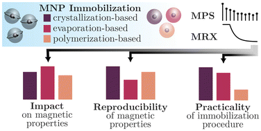 Graphical abstract: Comparison of magnetic nanoparticle immobilization methods using MPS and MRX