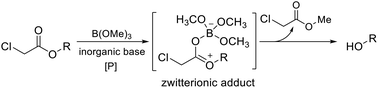 Graphical abstract: Enhanced ester dechloroacetylation through transesterification with trimethoxyborane