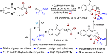 Graphical abstract: Photochemical cascade cyclization of quinazolinone-tethered unactivated alkenes with α-halocarbonyls toward 2,3-fused quinazolinones