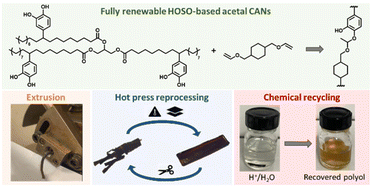 Graphical abstract: Efficient catechol functionalization of high oleic sunflower oil for the preparation of fully biobased and extrudable acetal CANs