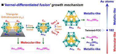 Graphical abstract: Kernel-differentiated fusion strategy redefines critical size thresholds in giant twinned-FCC RS-AuNCs: unlocking size adaptability and birth of metallicity