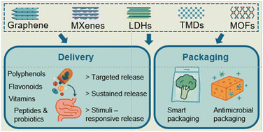 Graphical abstract: 2D materials for nutraceutical delivery and smart packaging: multifunctional, sustainable, and responsive applications
