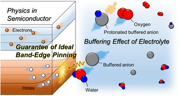 Graphical abstract: Neutral buffered electrolytes guarantee ideal band-edge pinning for semiconductor photoanodes