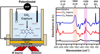 Graphical abstract: Real-time monitoring of the reversible capture and release of CO2 on anthraquinone and riboflavin-modified graphitic electrodes using ATR-SEIRAS