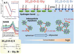 Graphical abstract: Adsorption and aggregation properties of quaternary-ammonium-salt-based gemini surfactants with a glycinate counterion