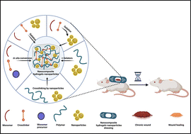 Graphical abstract: Staying one step ahead of chronic wounds by designing symbiotic, responsive functionality into dynamic nanohydrogels