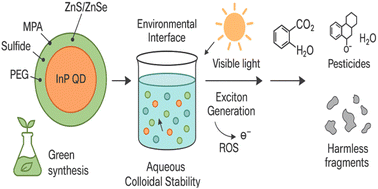 Graphical abstract: Indium phosphide quantum dots as green nanosystems for environmental detoxification: surface engineering, photocatalytic mechanisms, and comparative material insights