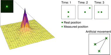Graphical abstract: The effect of localisation imprecision on quantification of the directionality of motion for single particle tracking applications