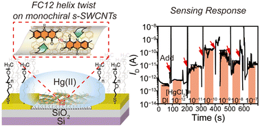 Graphical abstract: Ultra-sensitive mercury sensor based on thin film transistor using flavin self-assembly on monochiral carbon nanotubes