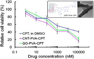 Graphical abstract: Functionalized carbon nanomaterials as nanocarriers for loading and delivery of a poorly water-soluble anticancer drug: a comparative study