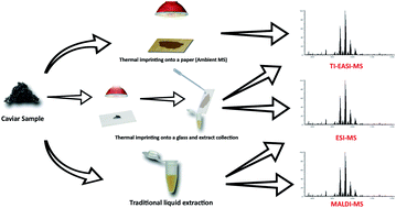 Graphical abstract: High throughput MS techniques for caviar lipidomics