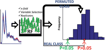 Graphical abstract: Assessment of the statistical significance of classifications in infrared spectroscopy based diagnostic models