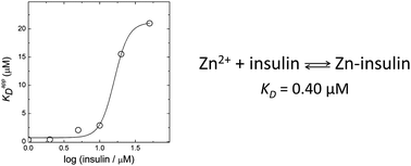 Graphical abstract: Affinity of zinc and copper ions for insulin monomers