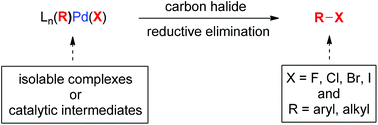 Graphical abstract: Synthesis of organic halides via palladium(0) catalysis