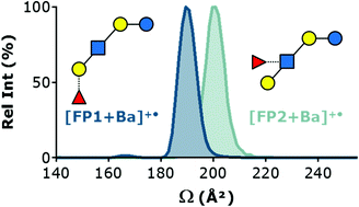 Graphical abstract: Ion-neutral collisional cross sections of carbohydrate isomers as divalent cation adducts and their electron transfer products