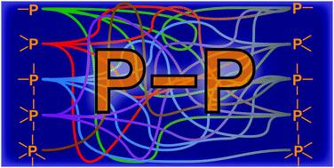 Graphical abstract: Recent highlights in mixed-coordinate oligophosphorus chemistry