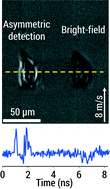 Graphical abstract: Optofluidic time-stretch imaging – an emerging tool for high-throughput imaging flow cytometry