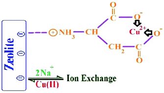 Graphical abstract: Clinoptilolite nano-particles modified with aspartic acid for removal of Cu(ii) from aqueous solutions: isotherms and kinetic aspects