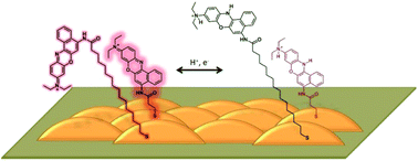 Graphical abstract: Unforeseen distance-dependent SERS spectroelectrochemistry from surface-tethered Nile Blue: the role of molecular orientation