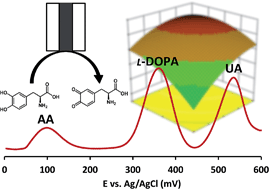 Graphical abstract: Determination of l-DOPA at an optimized poly(caffeic acid) modified glassy carbon electrode