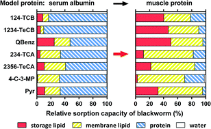 Graphical abstract: Re-analysis of narcotic critical body residue data using the equilibrium distribution concept and refined partition coefficients