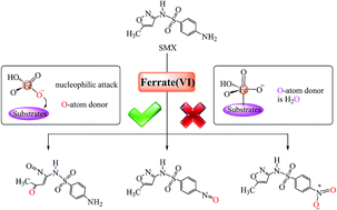 Graphical abstract: Ferrate(vi) initiated oxidative degradation mechanisms clarified by DFT calculations: a case for sulfamethoxazole