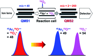 Graphical abstract: Confirmation of 40Ar+ related product ions in the octopole reaction cell of an ICP-QMS/QMS with 18O2 enriched oxygen as the reaction cell gas