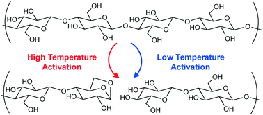 Graphical abstract: Energetics of cellulose and cyclodextrin glycosidic bond cleavage