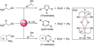 Graphical abstract: Cobalt-catalyzed acceptorless dehydrogenative coupling of aminoalcohols with alcohols: direct access to pyrrole, pyridine and pyrazine derivatives