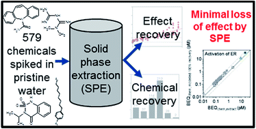 Graphical abstract: Solid-phase extraction as sample preparation of water samples for cell-based and other in vitro bioassays
