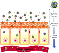 Graphical abstract: Evaluation of mesoporous silica nanoparticles for oral drug delivery – current status and perspective of MSNs drug carriers