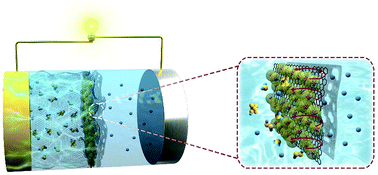 Graphical abstract: In situ preparation of a macro-chamber for S conversion reactions in lithium–sulfur batteries