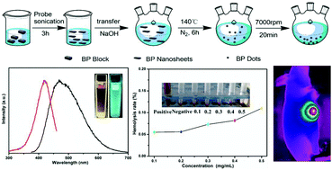 Graphical abstract: Ultrasmall black phosphorus quantum dots: synthesis, characterization, and application in cancer treatment