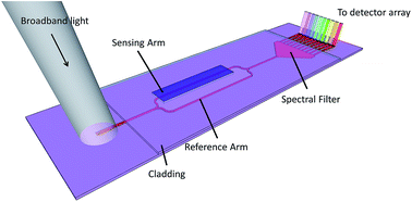 Graphical abstract: A low-cost integrated biosensing platform based on SiN nanophotonics for biomarker detection in urine