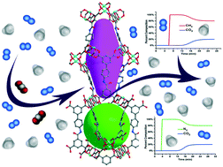 Graphical abstract: A highly porous acylamide decorated MOF-505 analogue exhibiting high and selective CO2 gas uptake capability