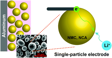 Graphical abstract: Single-particle measurements of electrochemical kinetics in NMC and NCA cathodes for Li-ion batteries