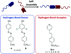 Graphical abstract: ortho-Fluorination of azophenols increases the mesophase stability of photoresponsive hydrogen-bonded liquid crystals