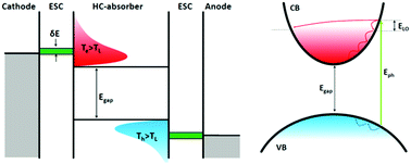 Graphical abstract: Hot carrier solar cells and the potential of perovskites for breaking the Shockley–Queisser limit