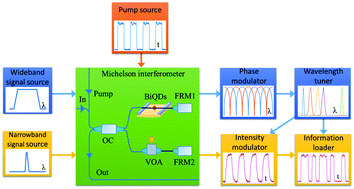 Graphical abstract: A bismuthene-based multifunctional all-optical phase and intensity modulator enabled by photothermal effect