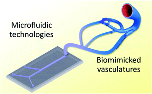 Graphical abstract: Microfluidic technologies for vasculature biomimicry