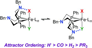 Graphical abstract: Evaluation of attractive interactions in the second coordination sphere of iron complexes containing pendant amines