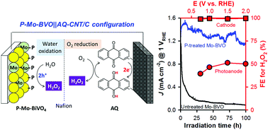 Graphical abstract: Highly durable photoelectrochemical H2O2 production via dual photoanode and cathode processes under solar simulating and external bias-free conditions