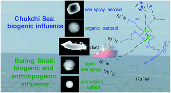Graphical abstract: Emerging investigator series: influence of marine emissions and atmospheric processing on individual particle composition of summertime Arctic aerosol over the Bering Strait and Chukchi Sea