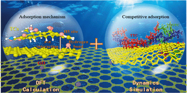 Graphical abstract: Insights into the adsorption mechanism and dynamic behavior of tetracycline antibiotics on reduced graphene oxide (RGO) and graphene oxide (GO) materials