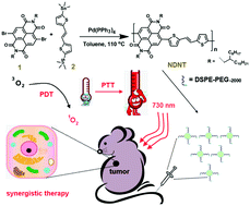 Graphical abstract: Heavy atom-free semiconducting polymer with high singlet oxygen quantum yield for prostate cancer synergistic phototherapy